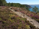 IMG_1755