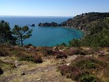IMG_1756