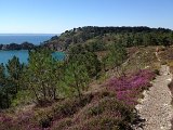 IMG_1757