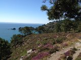 IMG_1759