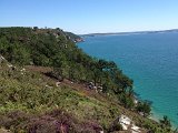 IMG_1761