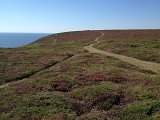 IMG_1794