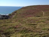 IMG_1795