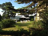 IMG_1810