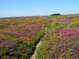 IMG_6751