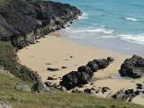 IMG_6768