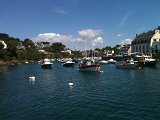 IMG_0250