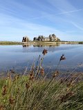 IMG_1452
