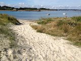 IMG_1453