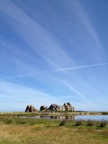 IMG_1455