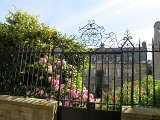 IMG_6225