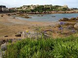 IMG_1329