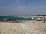IMG_1886