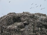 IMG_6119