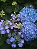 IMG_0173