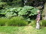 IMG_1842