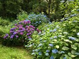 IMG_1844