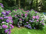 IMG_1845