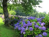 IMG_6852