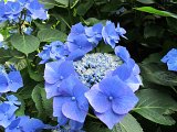 IMG_6863