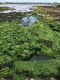 IMG_1390