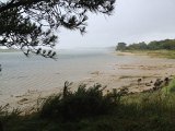 IMG_3893