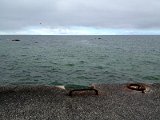 IMG_4008