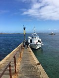 IMG_3690