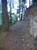 DSCN0667