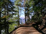 DSCN0676