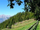 DSCN0718