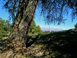 DSCN0733