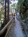 DSCN0743