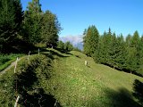 DSCN0769