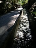 DSCN0772
