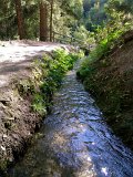 DSCN0773