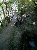 DSCN0778