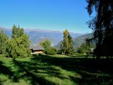 DSCN0784