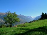 DSCN0788