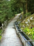 IMG_0668