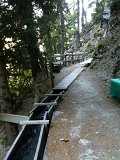 IMG_0671