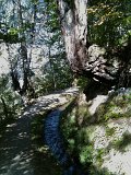 IMG_0675