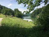 IMG_3329