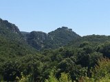 IMG_7093