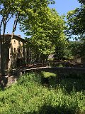 IMG_7100