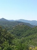 IMG_7105