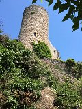 IMG_7113