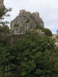 IMG_7307