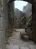 IMG_7318