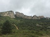 IMG_7326